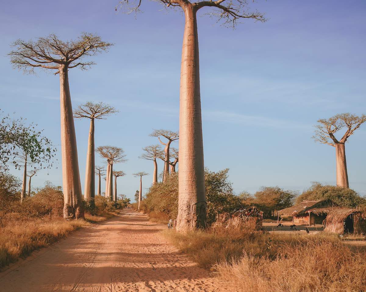 Morondava histoire activités