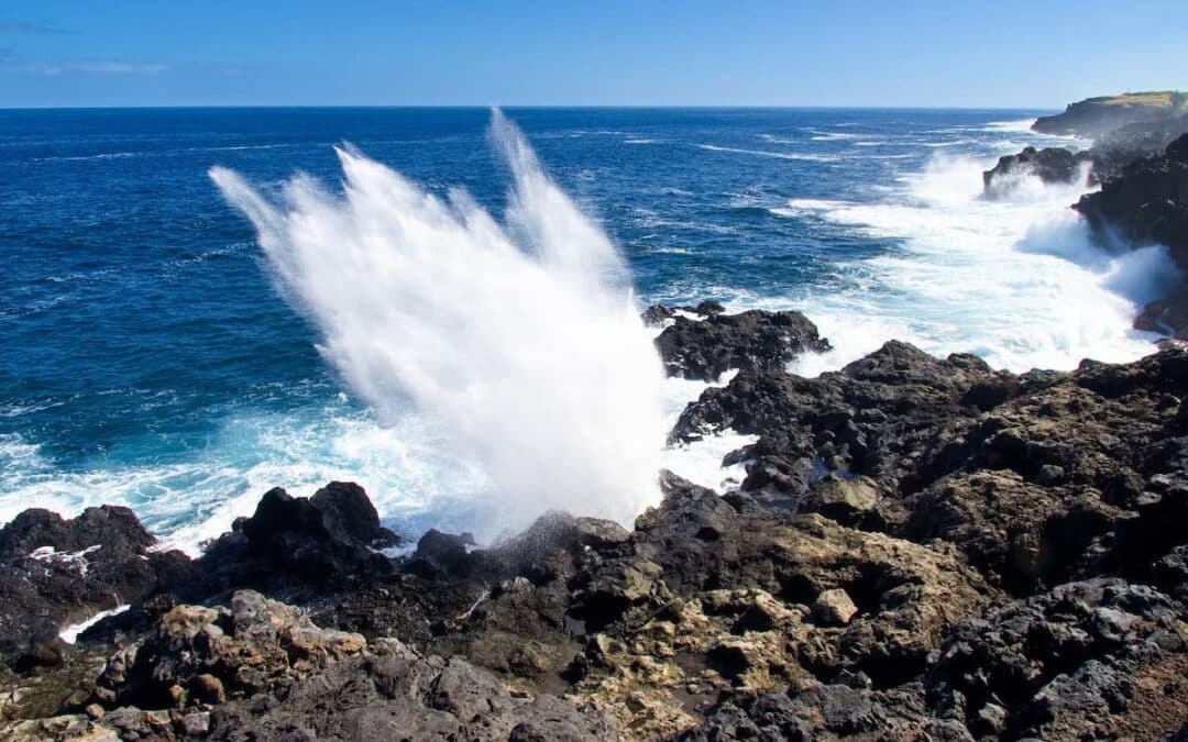 Requins à La Réunion : comme les éviter ? Les plages sans requins et nos conseils