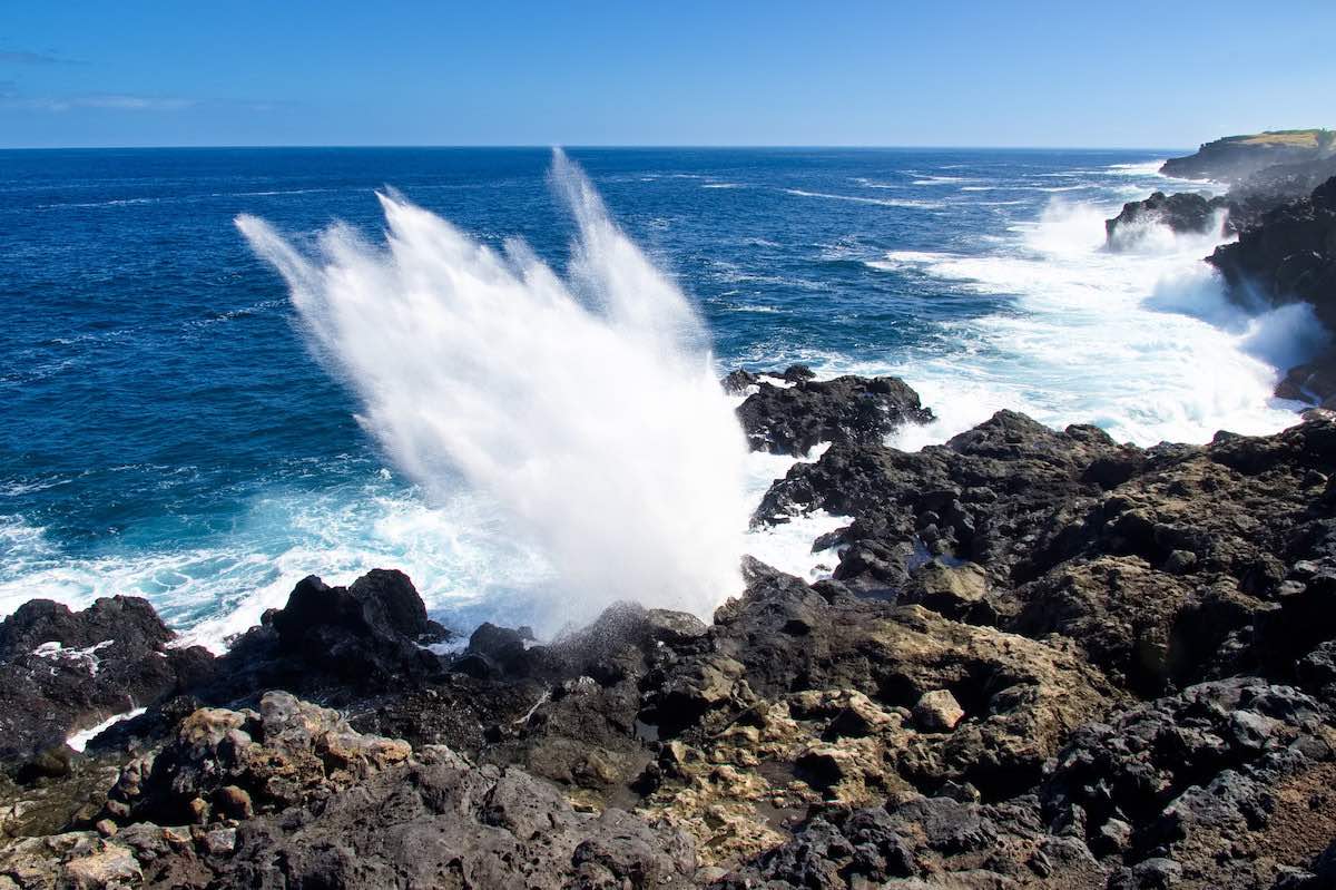 quelle sont les plages sans requins à La Réunion ?