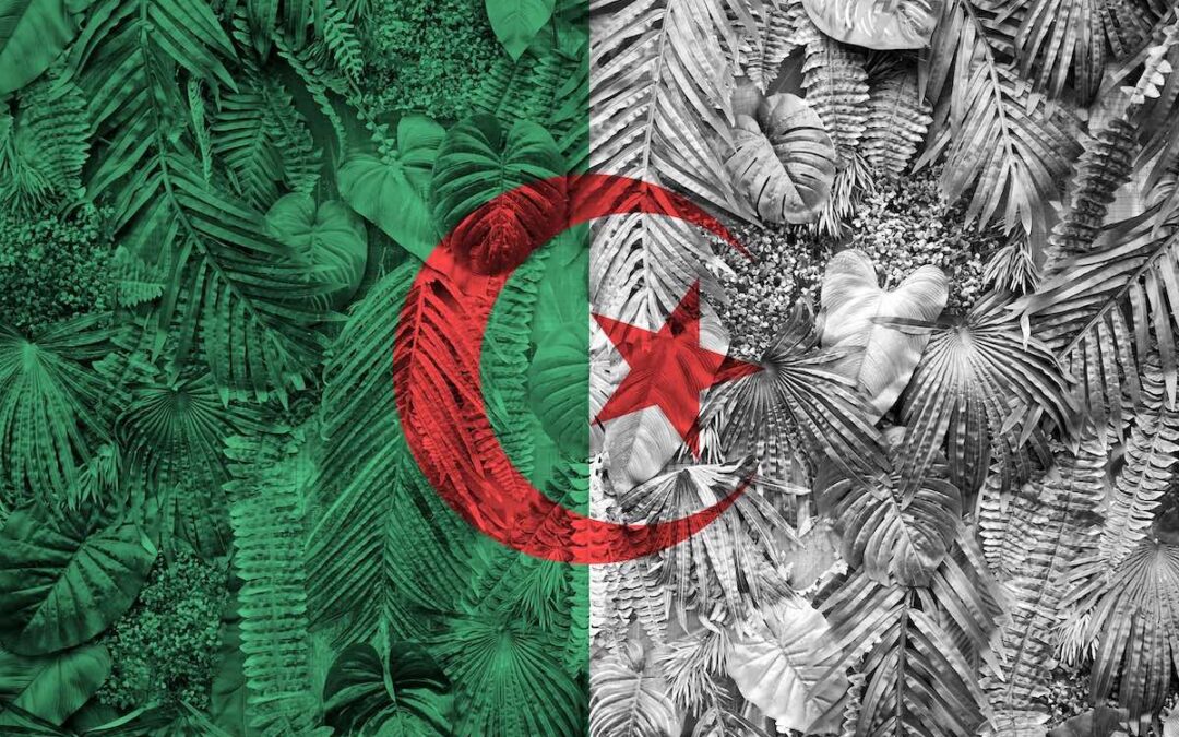 Quelles sont les plus belles plages d’Algérie ?