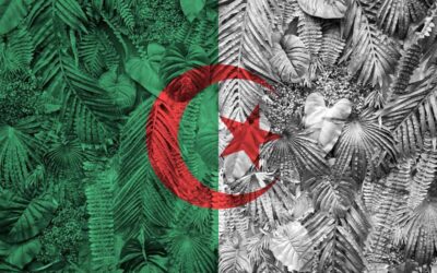 Quelles sont les plus belles plages d’Algérie ?